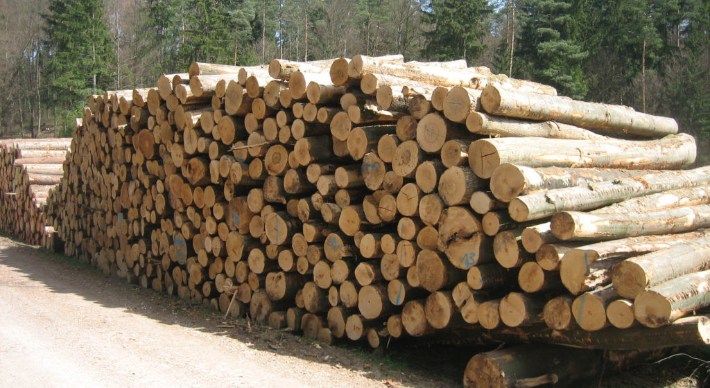 holzhauerei_hinterholzinger_holzstapel